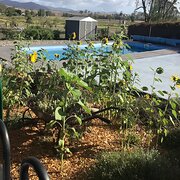 Home Owner wanting sitter in , New South Wales