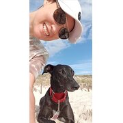 House Sitter - Caring Reliable Experienced Professional