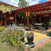 Home Owner wanting sitter in Launceston, Tasmania