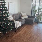 Home Owner wanting sitter in , Western Australia