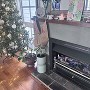 Home Owner wanting sitter in Melbourne, Victoria