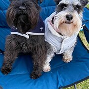 Home Owner wanting sitter in SOMERTON PARK, South Australia