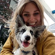 House Sitter - Reliable animal lover seeks furry pals