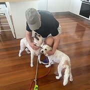 Home Owner wanting sitter in , New South Wales