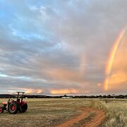 Home Owner wanting sitter in , South Australia