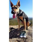 Home Owner wanting sitter in , Queensland