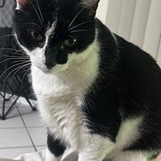 Home Owner wanting sitter in Darwin, Northern Territory