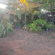 Home Owner wanting sitter in Geraldton, Western Australia