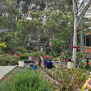 Home Owner wanting sitter in Geelong, Victoria