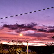 Home Owner wanting sitter in Gosford , New South Wales