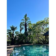 Home Owner wanting sitter in , Queensland