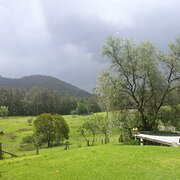 Home Owner wanting sitter in Newcastle, New South Wales