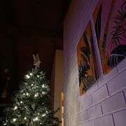 Home Owner wanting sitter in , Western Australia