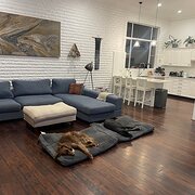 Home Owner wanting sitter in , New South Wales