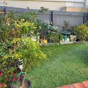 Home Owner wanting sitter in Brisbane, Queensland