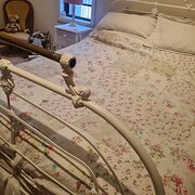 Home Owner wanting sitter in , Australian Capital Territory