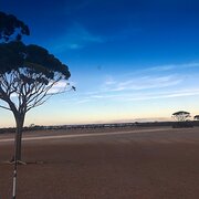 Home Owner wanting sitter in Albany, Western Australia