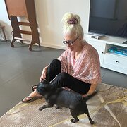 House Sitter - Active friendly couple with small griffo