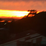 Home Owner wanting sitter in Gosford, New South Wales