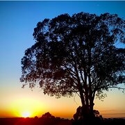 Home Owner wanting sitter in Lithgow, New South Wales