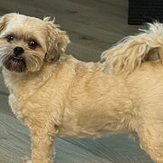 Home Owner wanting sitter in Perth, Western Australia