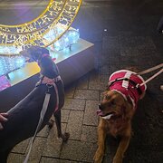 Home Owner wanting sitter in Perth, Western Australia