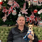 House Sitter - Howards