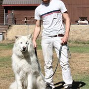 House Sitter - Martin