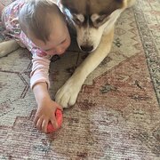 Home Owner wanting sitter in Belmont North, New South Wales