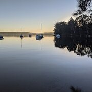 Home Owner wanting sitter in Newcastle, New South Wales