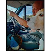 House Sitter - Experienced, reliable, semi-retired