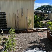 Home Owner wanting sitter in Townsville , Queensland