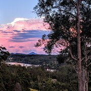 Home Owner wanting sitter in Yandina , Queensland