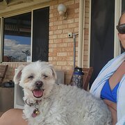 House Sitter - Reliable Housesitter