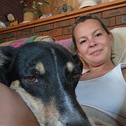 House Sitter - Reliable Housesitter