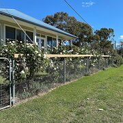 Home Owner wanting sitter in Bathurst, New South Wales