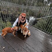 House Sitter - Home & Pets in Safe Hands