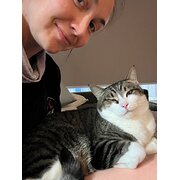House Sitter - Looking for solitude and cuddles