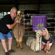 House Sitter - Loving.oz