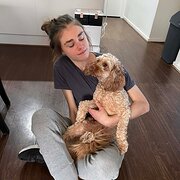 House Sitter - Bayside explorer