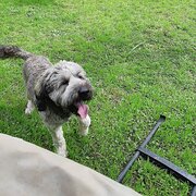 Home Owner wanting sitter in , New South Wales