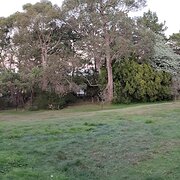 Home Owner wanting sitter in IRONBANK, South Australia