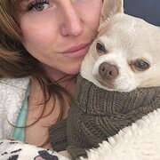 House Sitter - House/Pet Sitter Available in Victoria