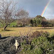 Home Owner wanting sitter in Orange, New South Wales