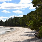 Home Owner wanting sitter in Hobart, Tasmania