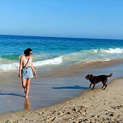 House Sitter - I will always choose dogs over people!