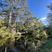 Home Owner wanting sitter in , Victoria