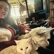 House Sitter - Calm, reliable pet sitter for home & pet