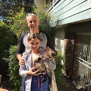 House Sitter - A reliable house sitter