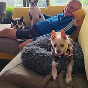 Home Owner wanting sitter in , Western Australia